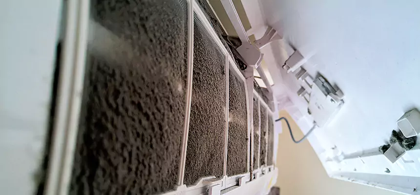 Preventive Air Duct Bacteria Removal in Redondo Beach