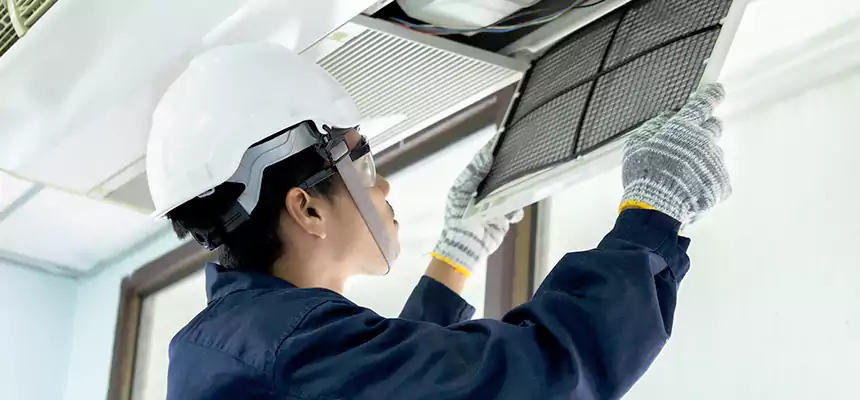 Our Mold & Mildew Removal from Air Ducts Services in Redondo Beach, CA