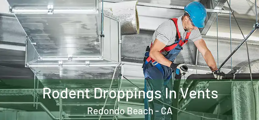  Rodent Droppings In Vents Redondo Beach - CA