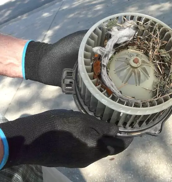 About Air Duct Mice Removal in Redondo Beach, CA