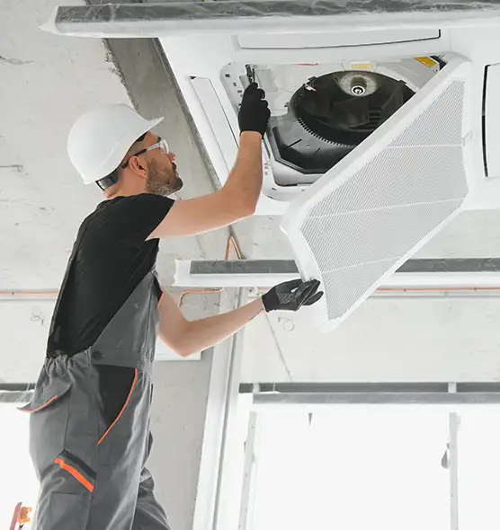 About Air Duct Rodent Removal in Redondo Beach, CA