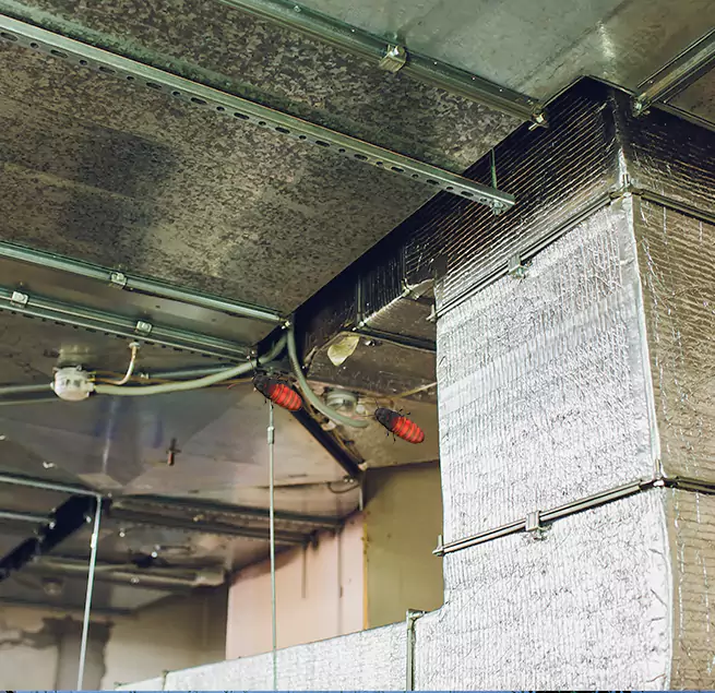 Why Homeowners & Businesses Trust Us in Redondo Beach, CA?